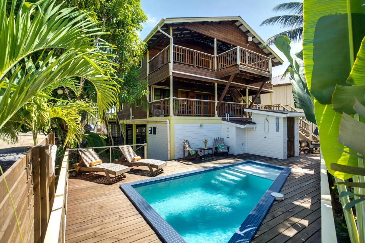 Driftwood Gardens Guesthouse Placencia المظهر الخارجي الصورة