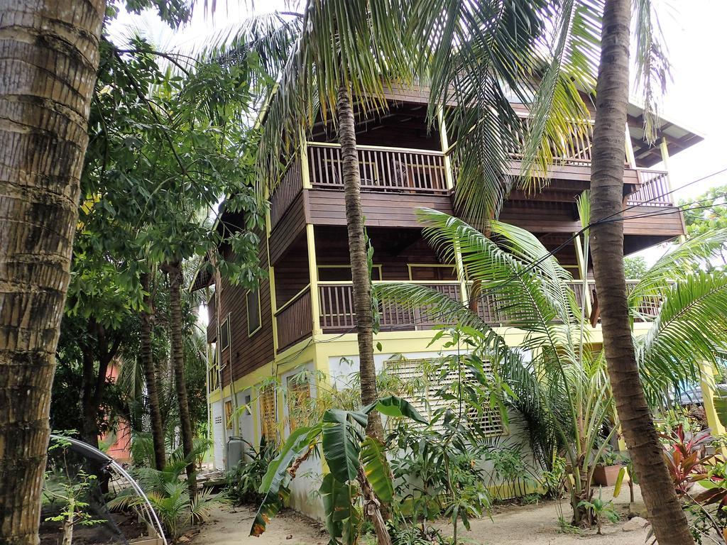 Driftwood Gardens Guesthouse Placencia المظهر الخارجي الصورة